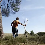 Vakantie Bij Meeussen Holiday home Plasmolen