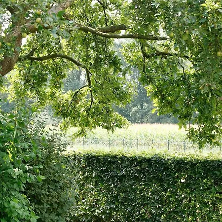 Bij Meeussen - Molendal * Plasmolen