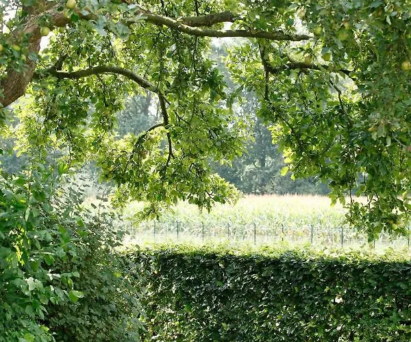 Bij Meeussen - Molendal * Plasmolen