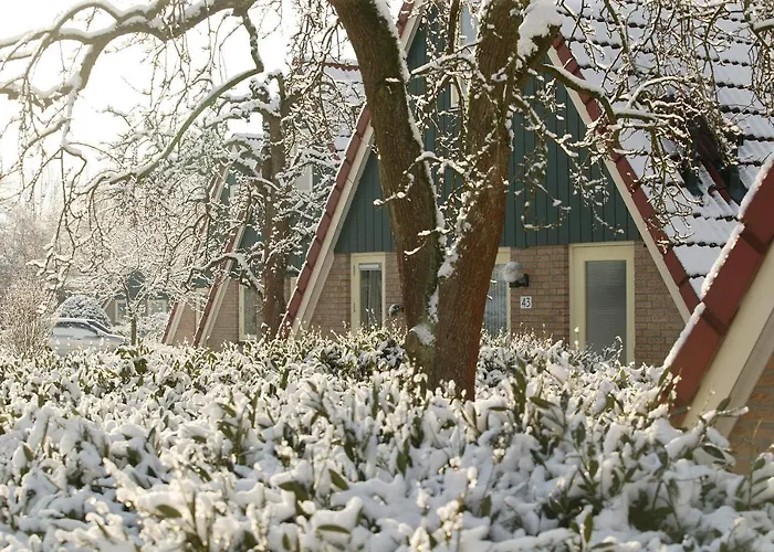 Bij Meeussen - Molendal * Plasmolen