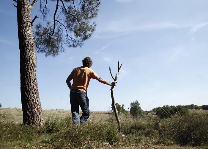 Bij Meeussen - Molendal 펜션 Plasmolen